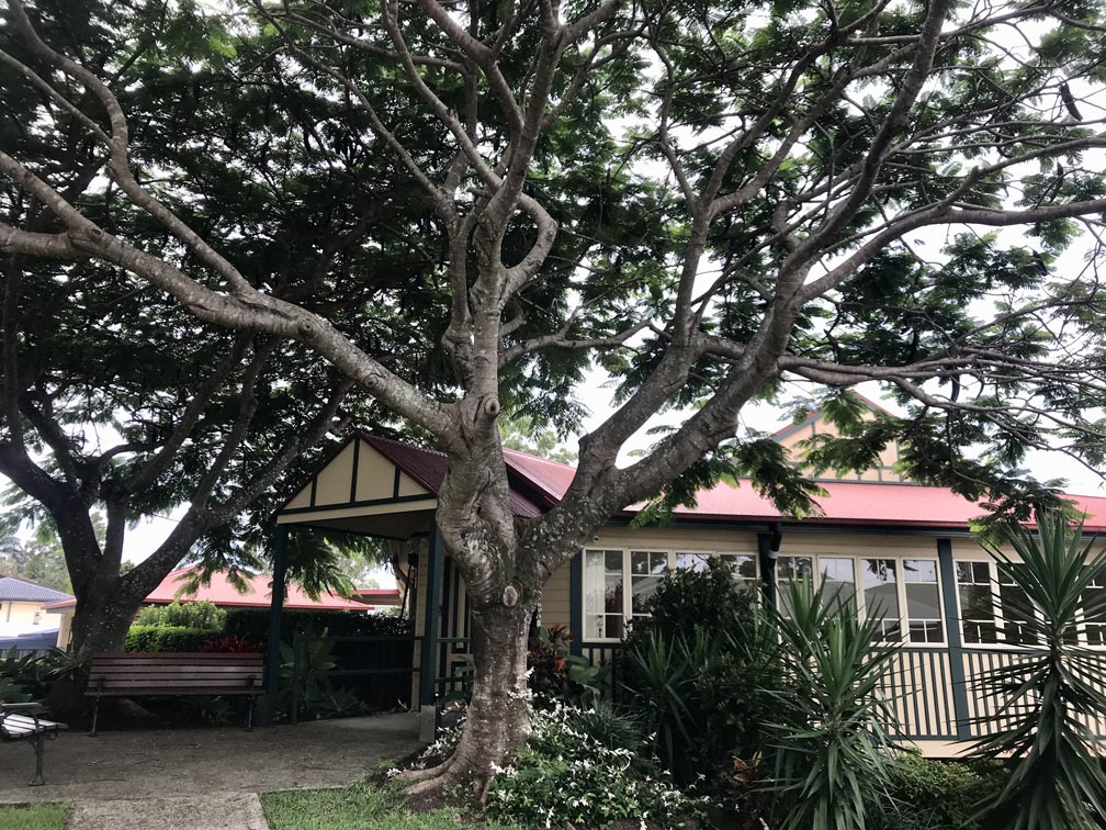 Mudgeeraba Foundation Centre Building Front